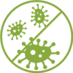 Hypoallergic Icon