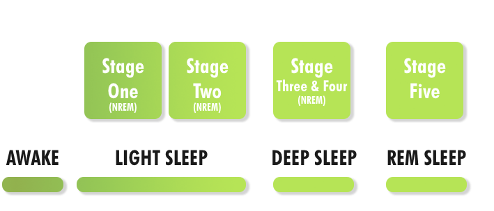 The different stages of sleep - Stages image